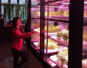 Infarm, urban farming. Techfood Magazine